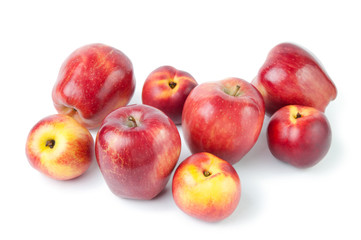 Studio shot of ripe apples and nectarines, white background