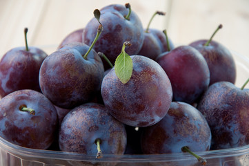 Close-up of ripe plums in a plastic container