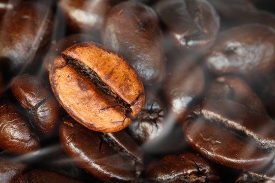 coffee beans fresh roasted