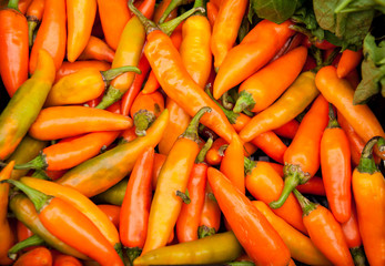 Yellow fresh chili peppers