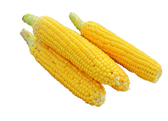 corn