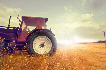 Agriculture