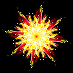Abstract Floral Graphics