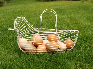 Eier 2