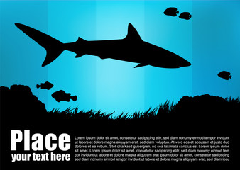 Naklejka premium shark