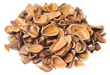 Pine nuts on the white