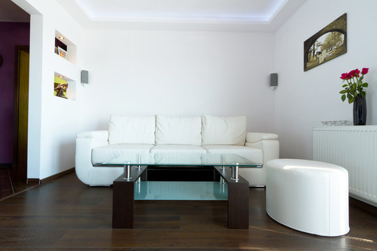 Modern living room interior