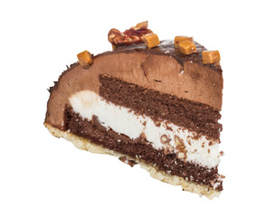 Piece of chocolate cake