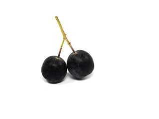black chokeberry