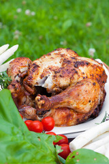 Brathähnchen zum Picknick