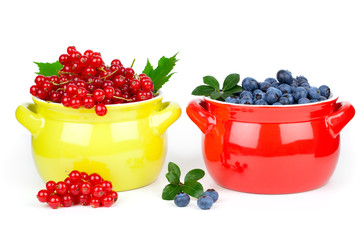 delicious red currant and blueberry, isolated on white backgroun