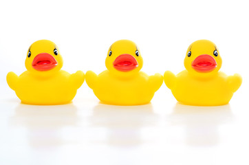 triple of yellow rubber duck