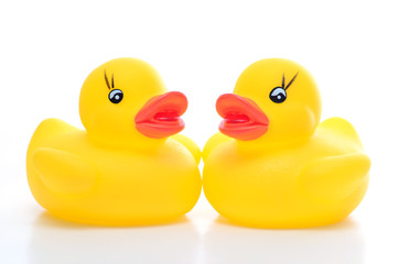 couple of yellow rubber duck - front