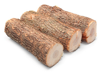 Cut log fire wood from Common Oak tree.