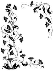 Floral design for the frame. flowers ornaments