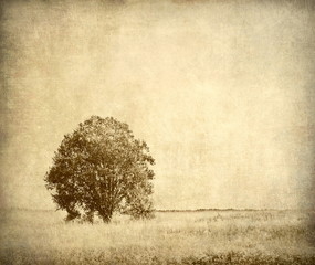 Tree, vintage landscape