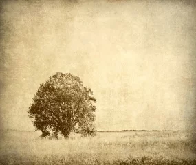 Selbstklebende Fototapete Sommer Baum, Vintage-Landschaft