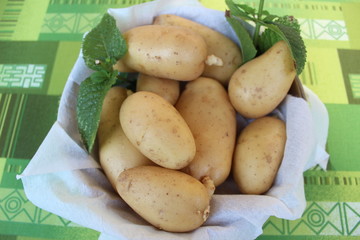 Patate
