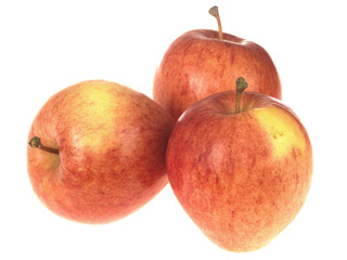 Red Sonya Apples