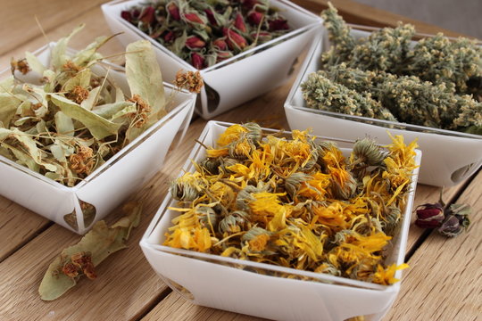 Plantes s&egrave;ches pour la phytoth&eacute;rapie traditionnelle