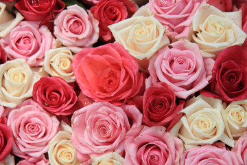 White and pink roses in arrangement