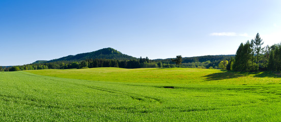Fototapeta na wymiar Panorama z zielonej łące