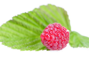 Raspberry