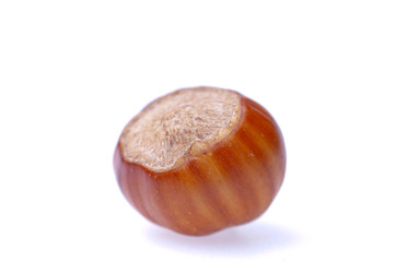 Hazelnuts