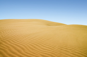 Fototapeta na wymiar Złoto pustyni. Słoneczny dzień. Błękitne niebo.