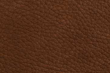 Brown leather