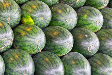 watermelons in the market