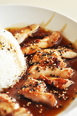 Chicken Teriyaki with steamed rice
