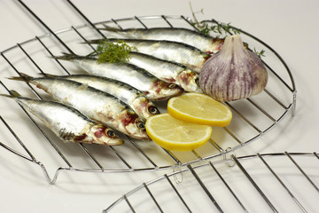 sardines