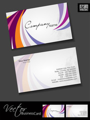 Professional business cards, template or visiting card set. and