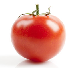 Red Tomato