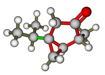 Thujone, compound with menthol odor, constituent of absinthe