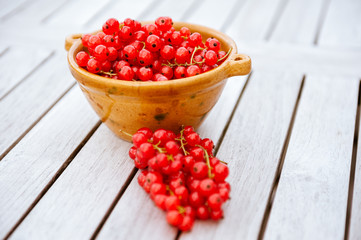 Red Currants in a Bowl/Rote Johannisbeeren in einer Schale