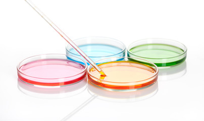 Petri dishes with a colored liquids, isolated - 43779237