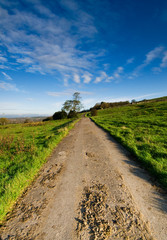 Fototapeta premium path leading to sky