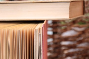 Bücher Literatur