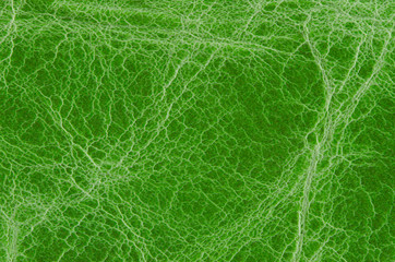 Green leather