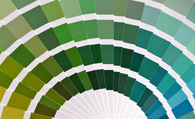 Pantone