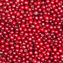 red cherry