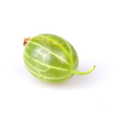 gooseberry
