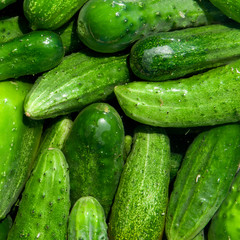 cucumbers