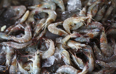 Fresh prawn put on ice in the seafood market