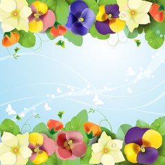 Floral background, colorful pansies flowers