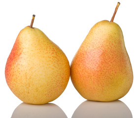 Two yellow pears