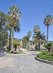 Fototapeta na wymiar Palmenpromenade die von Santa Margherita Ligure