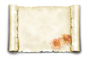 Papierrolle 11